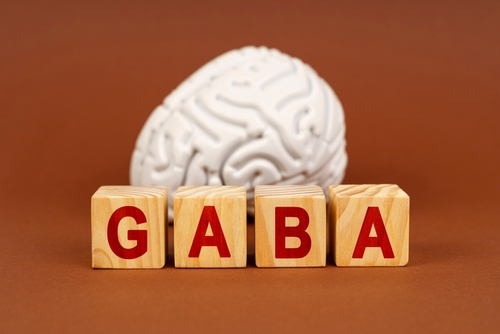 Gaba pro mozek